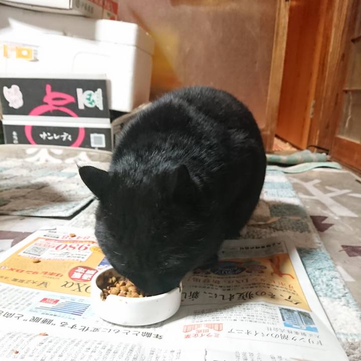 046d4212 db56 4d8c a656 5dcb560491fb 1646050832471