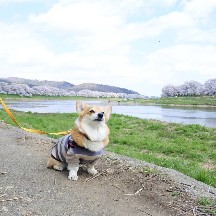 046d5d48 1f4b 4226 9a15 d8de2e4e819c 1680705123507