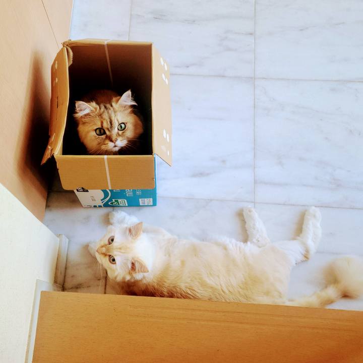 046ddd1a bcd9 4f0f 9de2 16335de71884 1722814633961