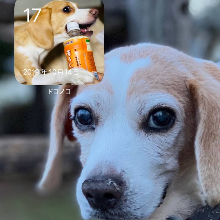 046df696 c3af 4af0 80f4 c77c8a87b344 1634421972595