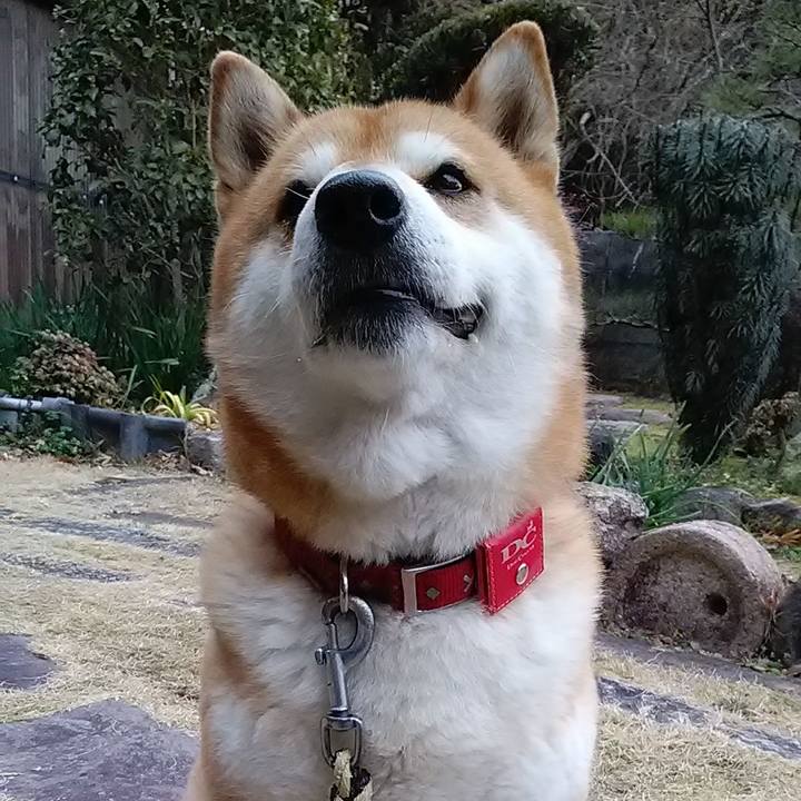 046e1d2f 4e66 47b0 831c b489c4c50e5a 1646610770922