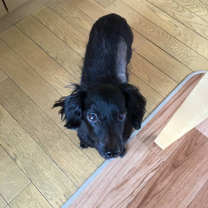 046e2339 85d4 4f83 98a9 49b887e1e152 1536790583543