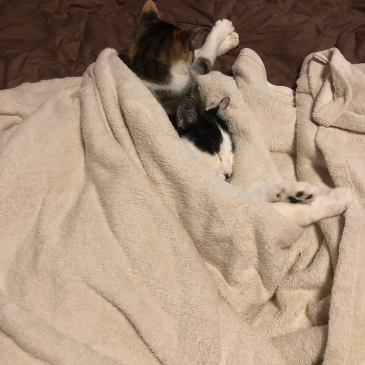 046e433f a334 499c b2f7 e81b3de7d59a 1579001769221