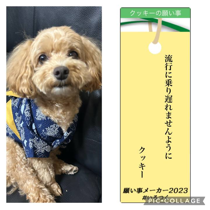 046e465b 979b 418d 9346 a2e2341414da 1688722630644