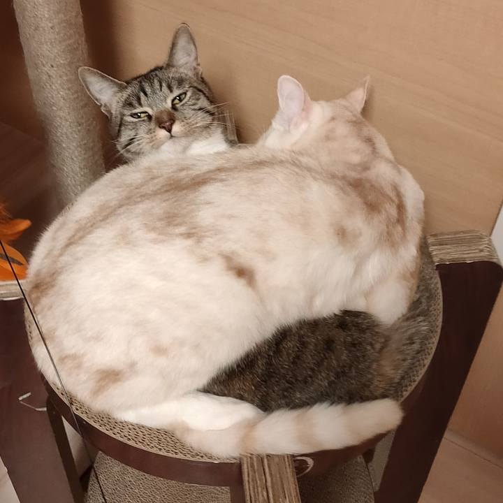 046e5066 29dc 452b 80c1 e30beef0fbf2 1673346604496