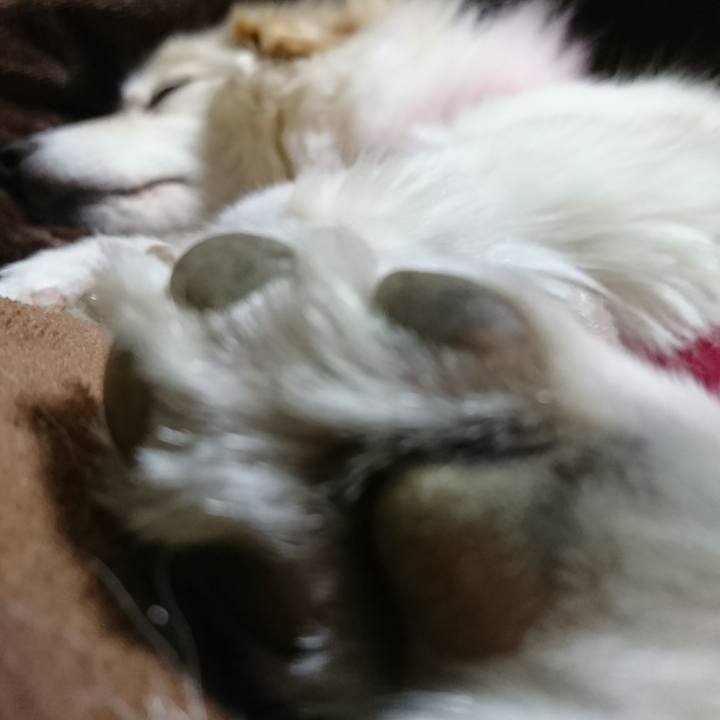 046e5400 5cf4 46c5 a107 c3eaffc4e19c 1516534711577