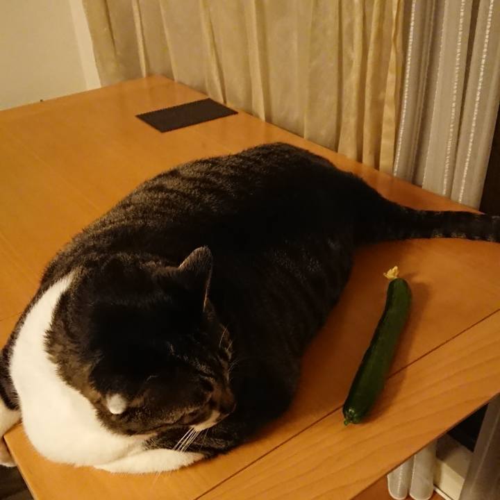 046e569c cb8d 4d2d b81e 66934e30db09 1563881768527