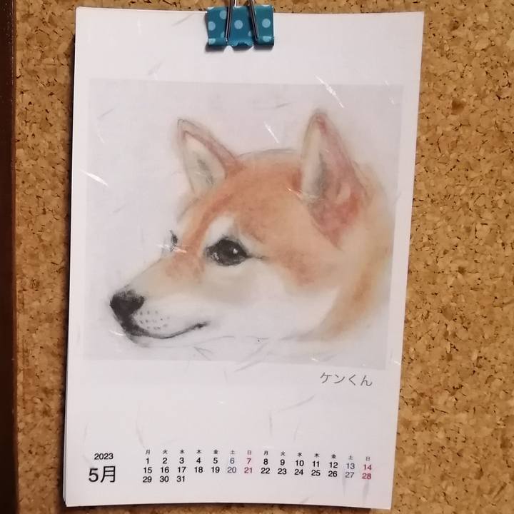 046e5827 f165 4eed 9c47 24c3eb13ffa9 1684319201901