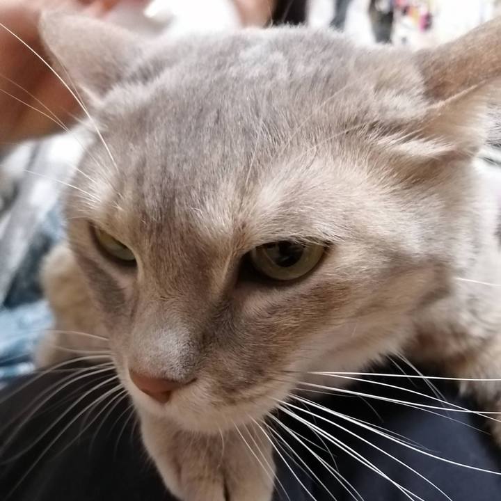 046ea014 8d5a 4c1c b0b6 c5a905bbdc91 1612363747369