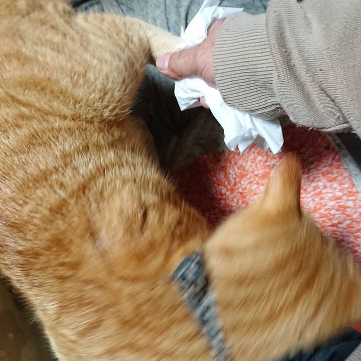 046ec79f eef4 4044 82de 9dde6a0c6158 1574548553902