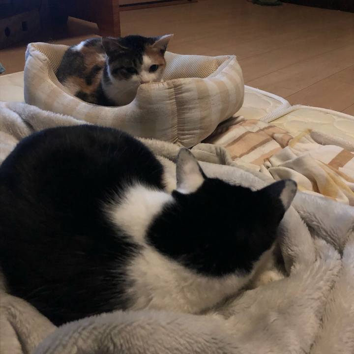 046ef0b1 44cd 4acd ae27 8777890e8116 1578665151901