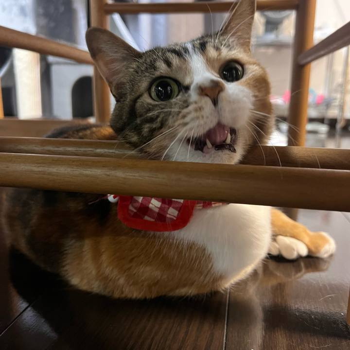 046efc3a 5cfe 4bd6 a424 fcfcbb0c7d6e 1768642918831