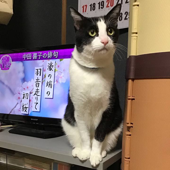 046efcee 055b 4ca6 b6d4 20cb5bfe9afd 1711628427218