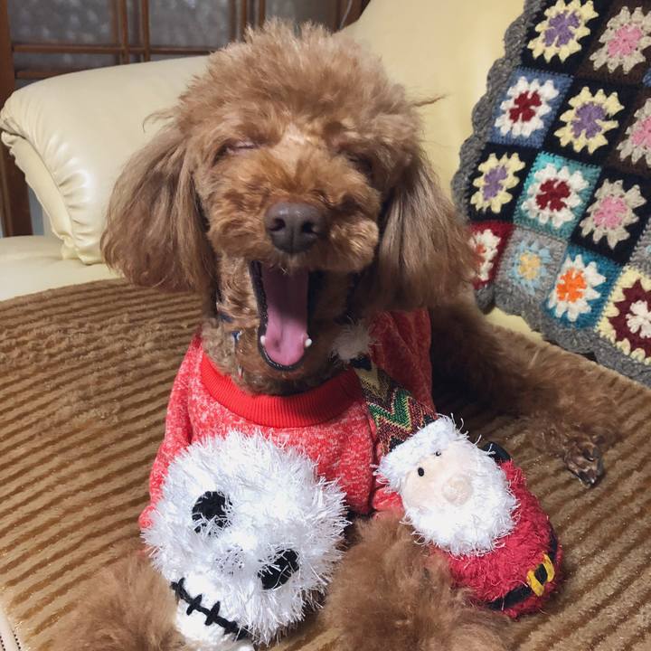 046f0649 fecf 404e b64f ef0e6e6f72d8 1547472102621