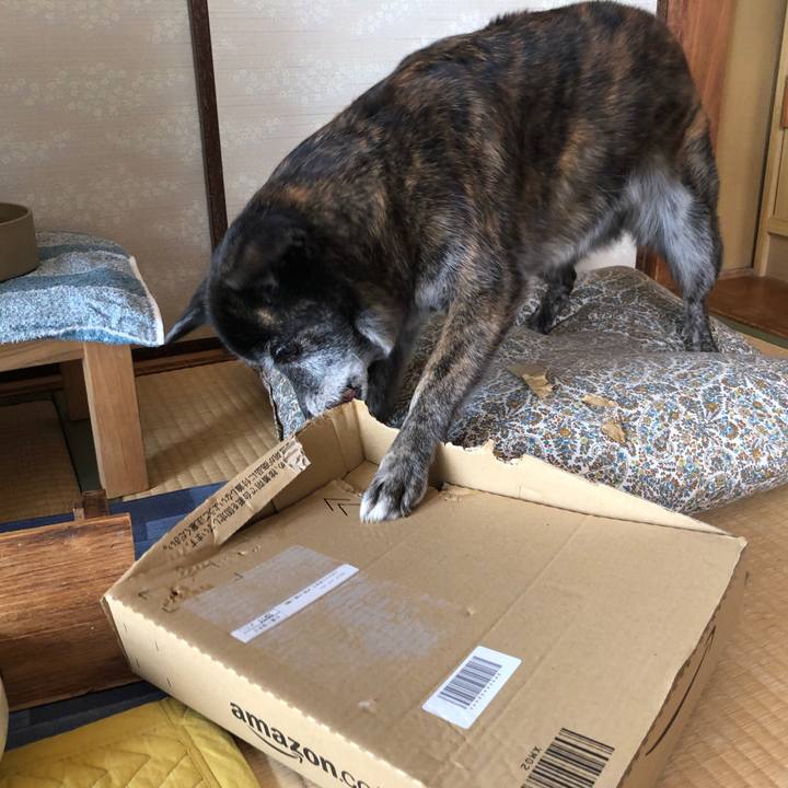 046f0666 8702 4349 8ba8 18221bba5895 1697254237321