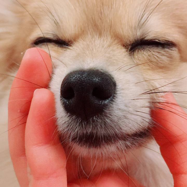 046f14ce 0c40 40a1 aba8 0e920fc499ca 1518872162081