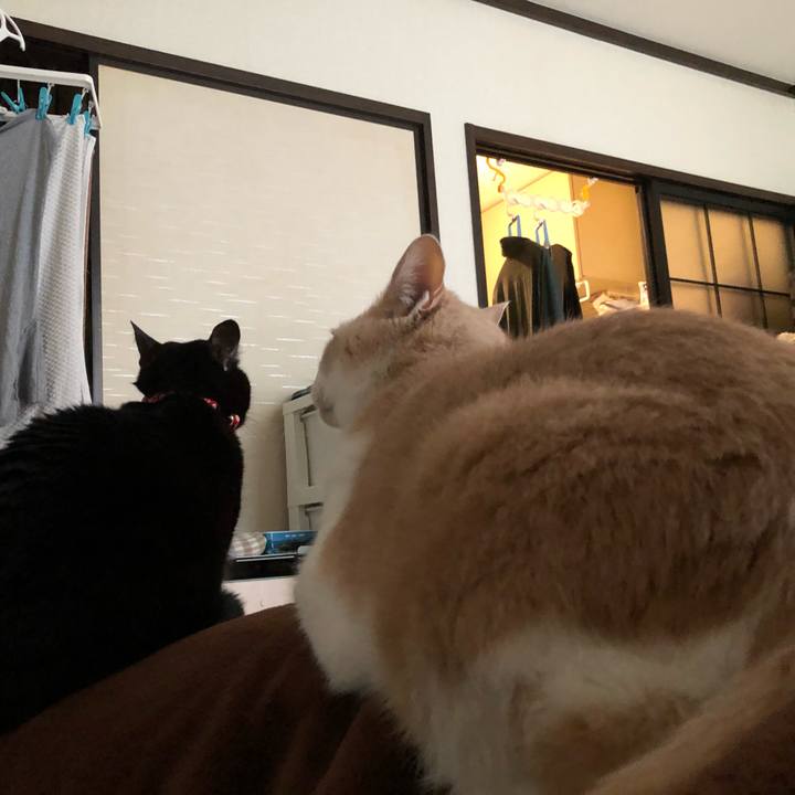 046f17b0 d22d 403f 834a 77ac3c4eddb7 1614901254460