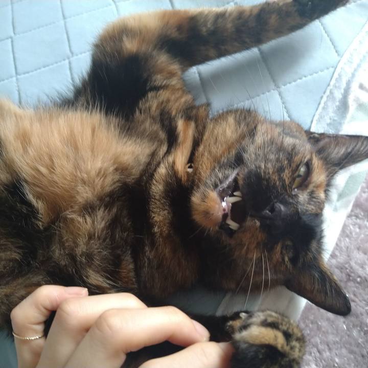 046f248a 3267 45a6 af6f 9b633ce7fd42 1627804486801