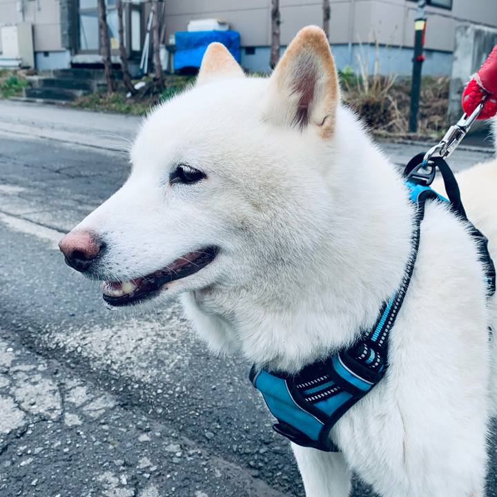 046f5dd1 c409 4be8 8c11 34101eb98054 1681711115854