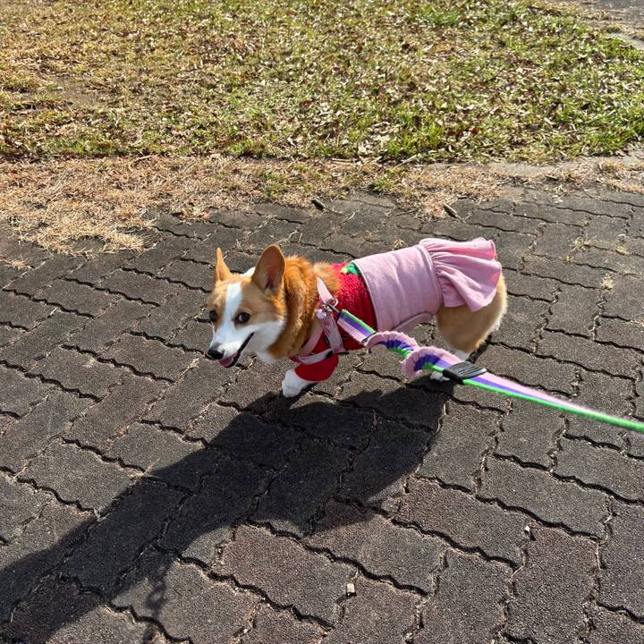 046f6a54 a9ea 4cc9 af2f 543d6a3dcd17 1766467270177