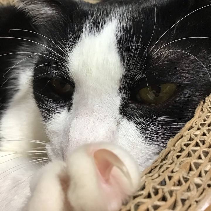 046f7437 aa28 48c3 80a0 d773c109e515 1741865048761