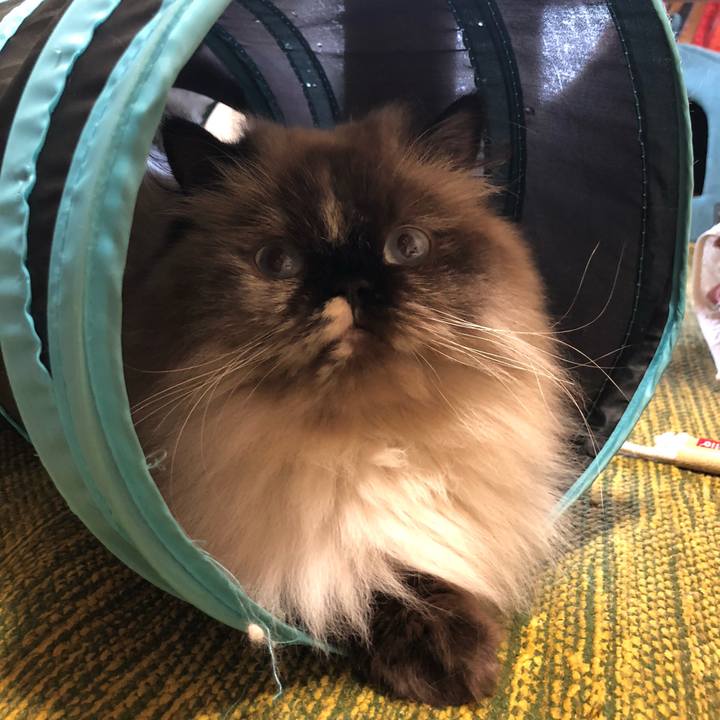 046f80e1 7d1b 4053 9355 f4362cc104d4 1660193660738