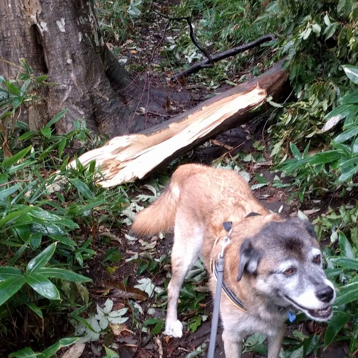 046fd89a e25c 46a4 ae04 031f9ff565b7 1536104408149