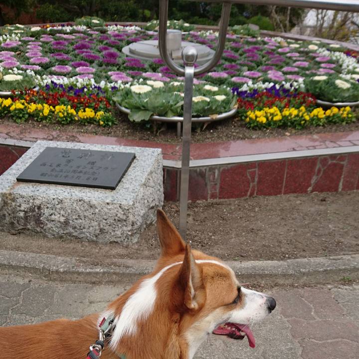 047004ff 2ffa 464b 8b48 c79847f7dd17 1606286574049