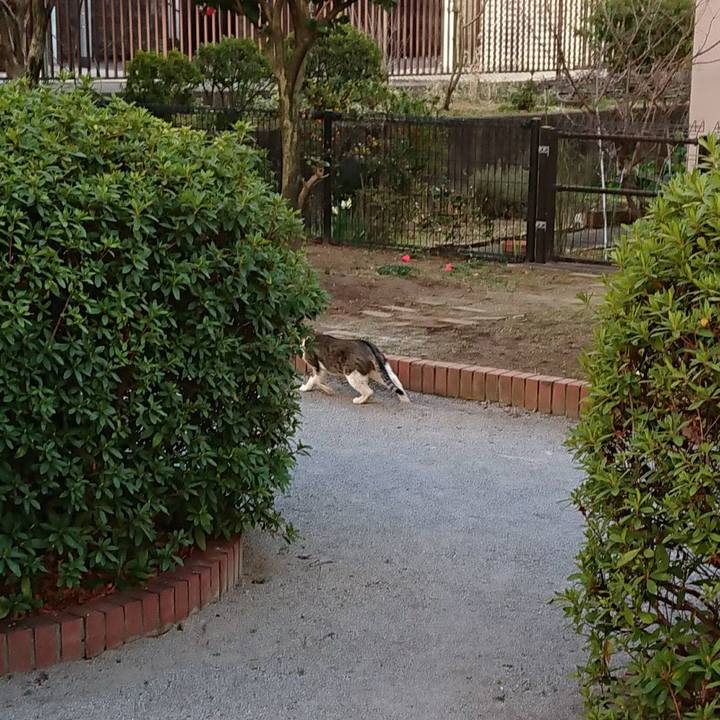 047007a6 7b4e 4f79 a82c 8713d2bc4c95 1677851276738