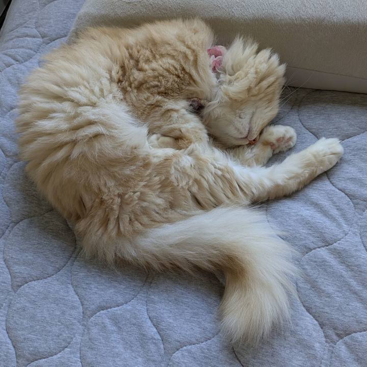 04700fc9 c8c7 4f18 92a6 a0a75c77fa24 1759366613131