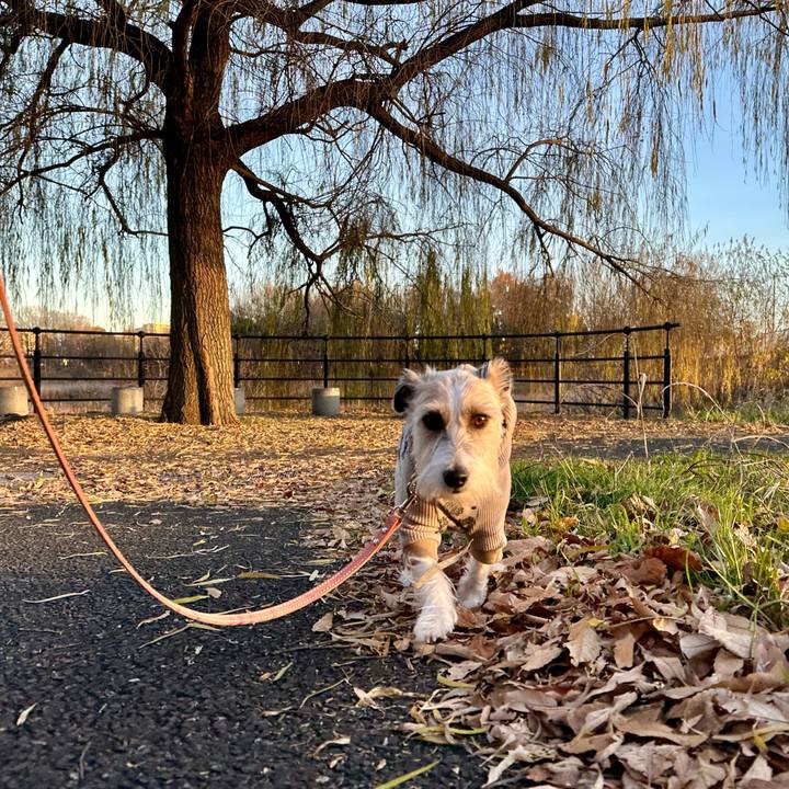 04701e36 e9f2 4a01 afc3 ada821294acf 1703253858625