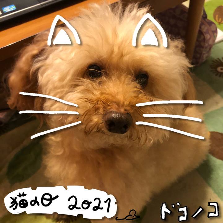 047030bb d2ce 4ea3 850a 3a36242b6a07 1613970179693