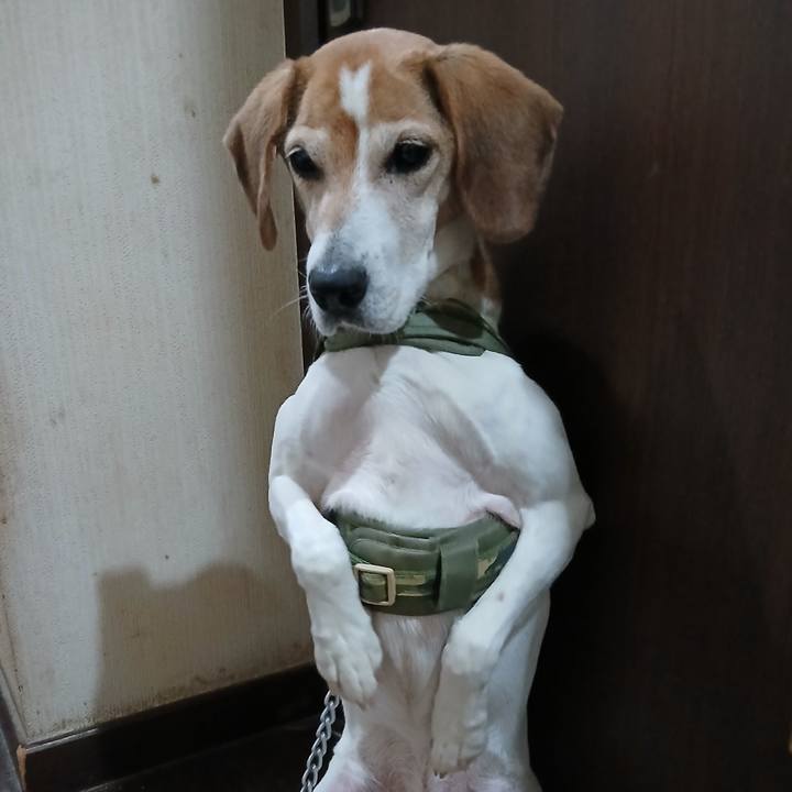 04703833 75d0 4923 a9da b7740cea5258 1766913509119