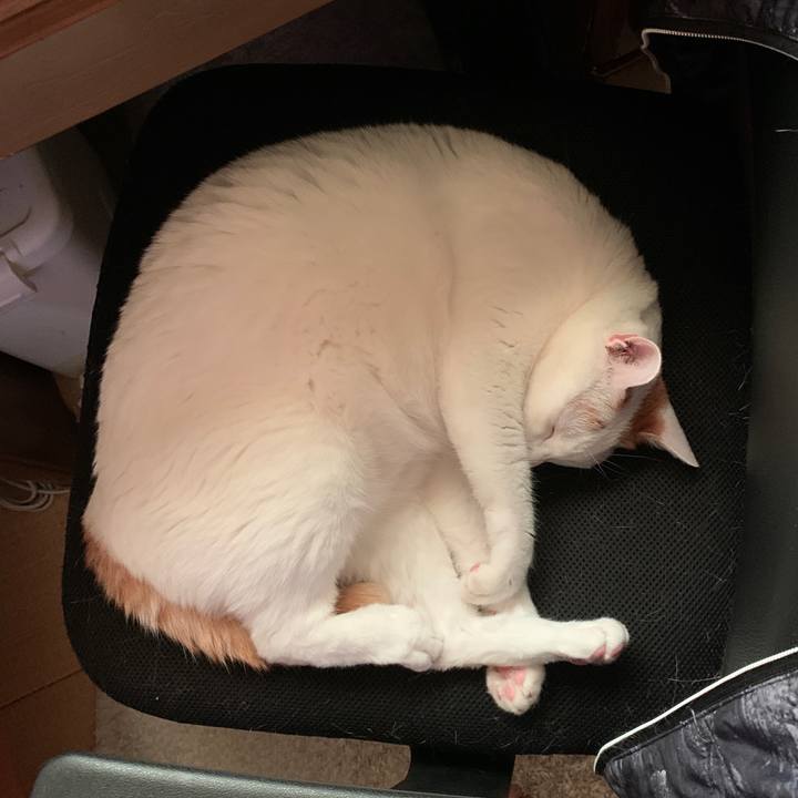 047039b5 9572 4070 a221 f6913eaf3c5f 1657406297904