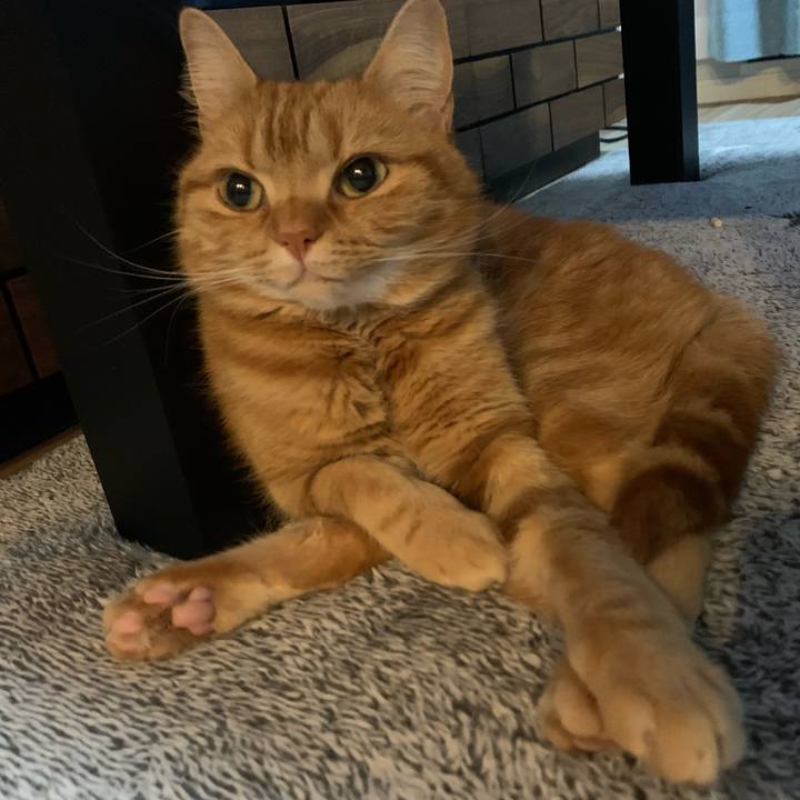 04705360 2638 42d9 b9ad 80a4db1f4e71 1650363042049