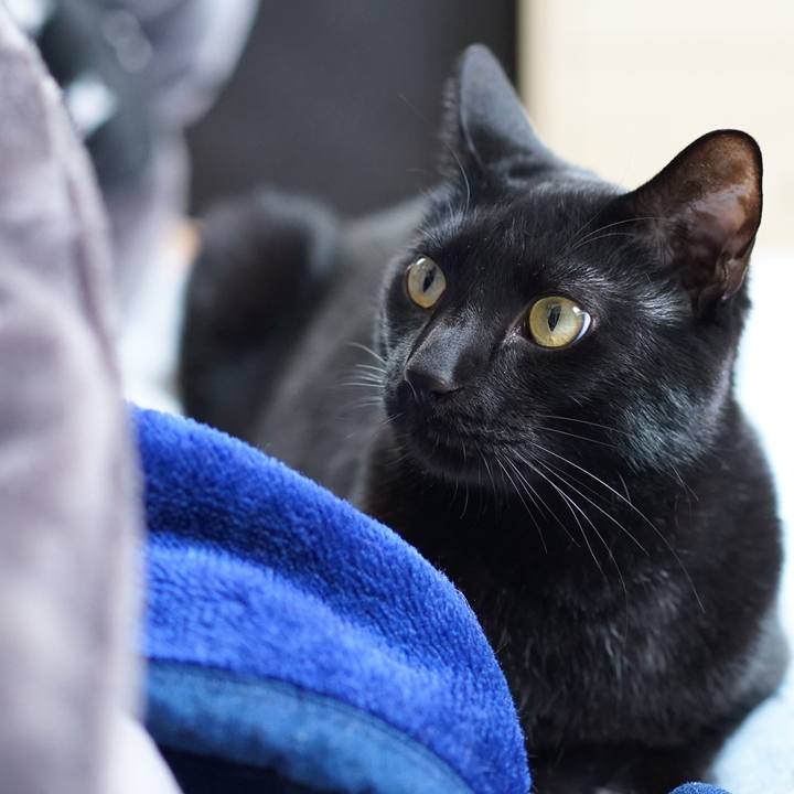 0470665f 306c 46af a5f8 7fdb251e9e37 1555976511316