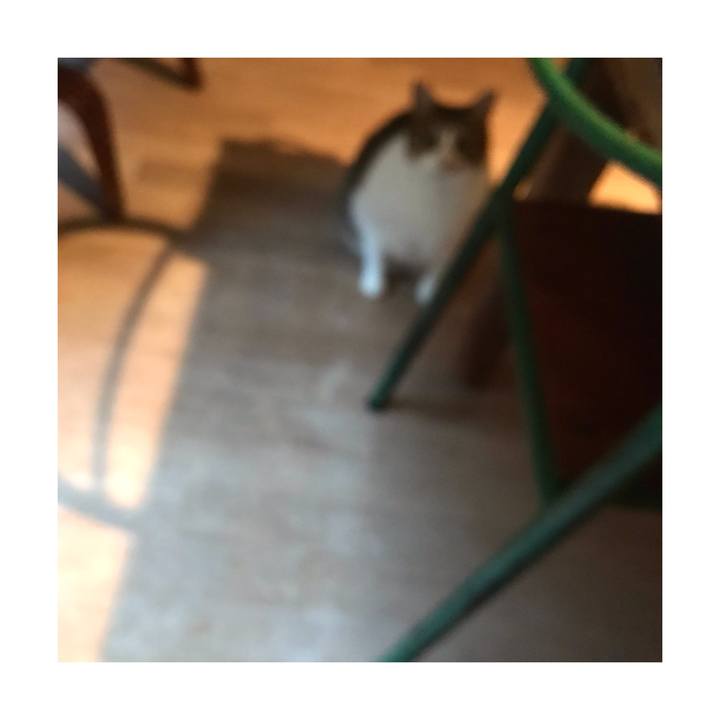 04706de8 fa5d 4841 a742 3edb4be53e60 1664028003741