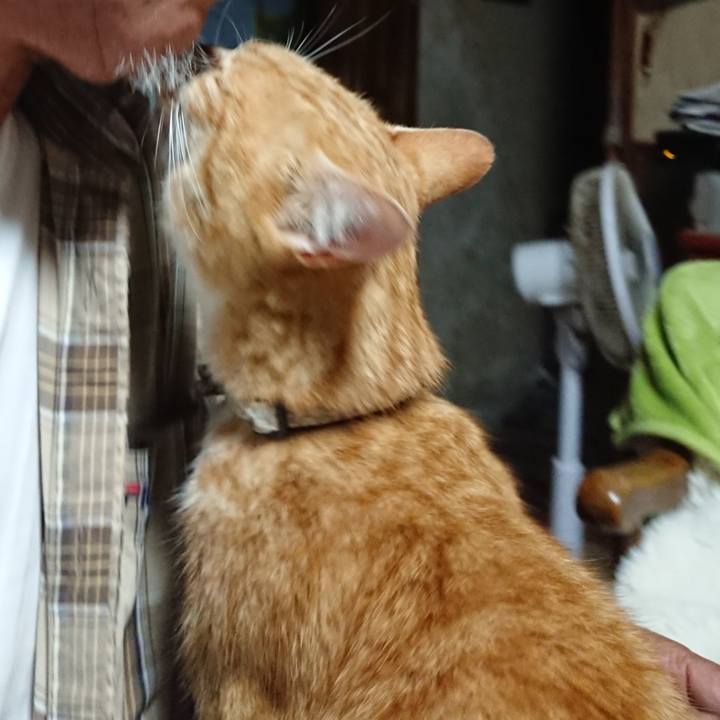 047088f1 e41b 4abc a0ad e1612c1fad98 1592163439940