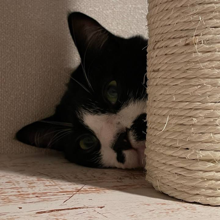 047095e5 5b46 43f6 89d7 32d5cbe9ca08 1651245151183