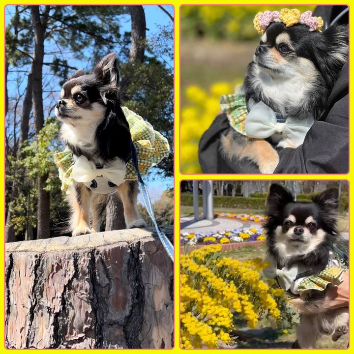 04709c3e 5d03 4830 8c8c ce4511e91012 1679207829852