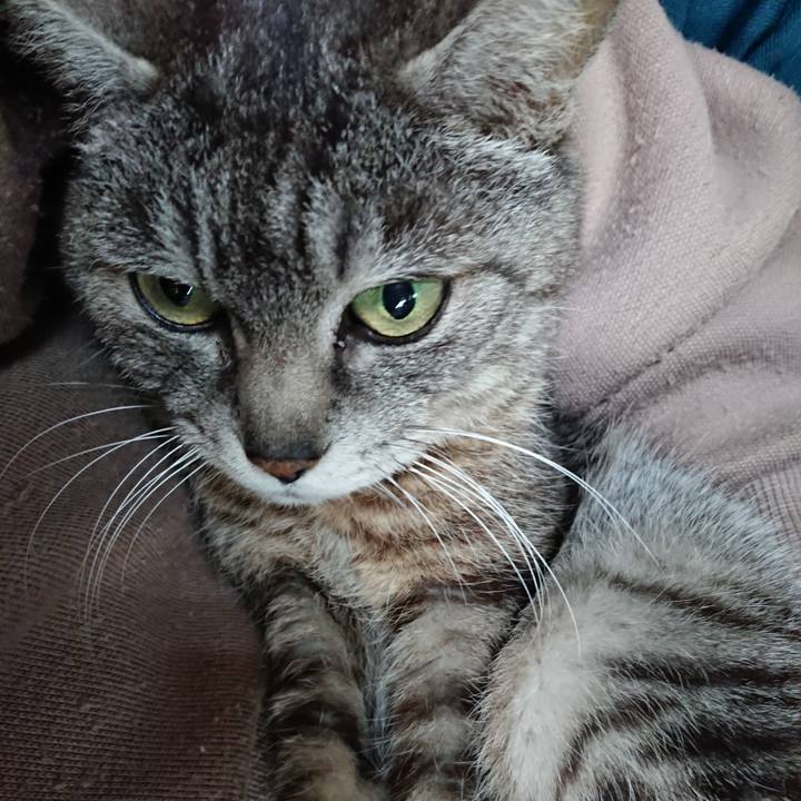 0470a05e 3fd0 43cf 837f c704f141d7ac 1557096054207