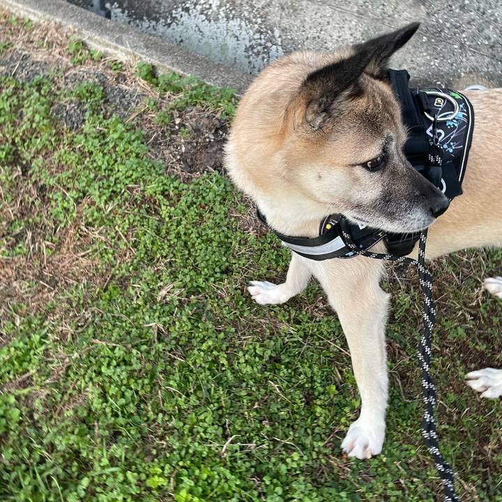 0470aa07 594f 42af 9ab1 9a4bf9e7501a 1731933811154