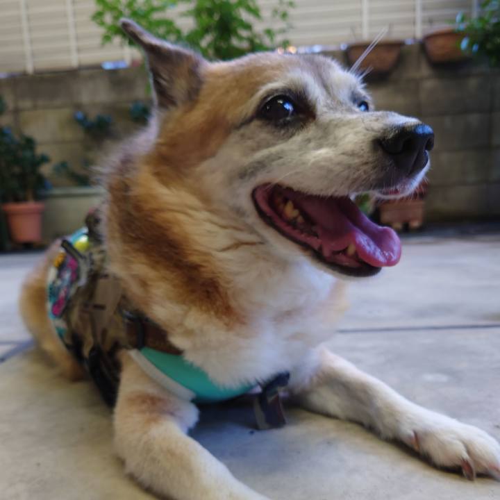 0470b136 8155 42a4 ac6b 4810ce8d4f3a 1660707545938