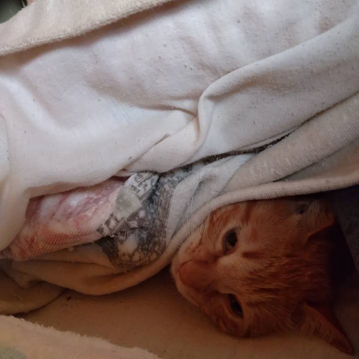 0470de71 6fb6 4759 a47d b53bd70e6ea4 1712703511803