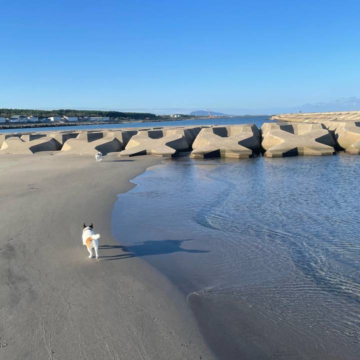 04711889 4274 490b 82f9 9487fdc034a6 1760486748612