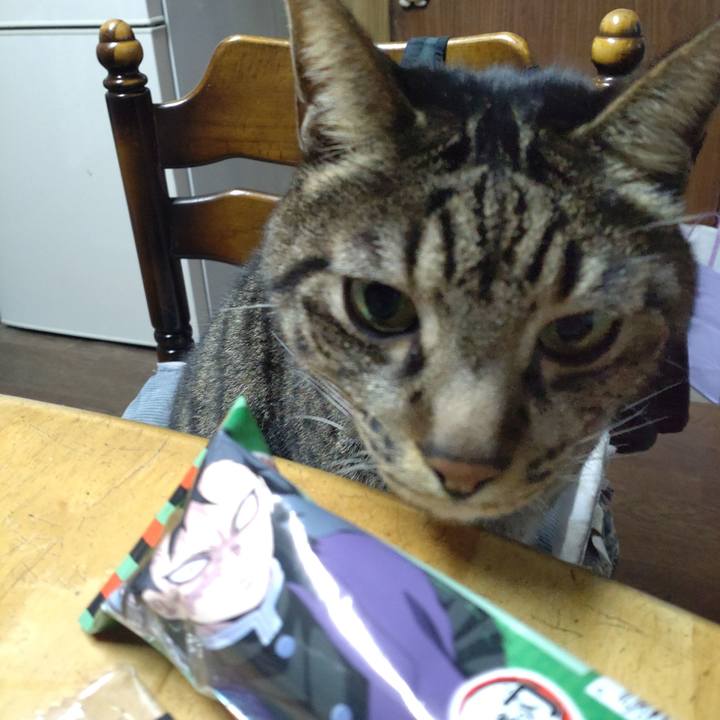 04715530 9cf2 4e1f b81a 8be0db83e279 1635337067895