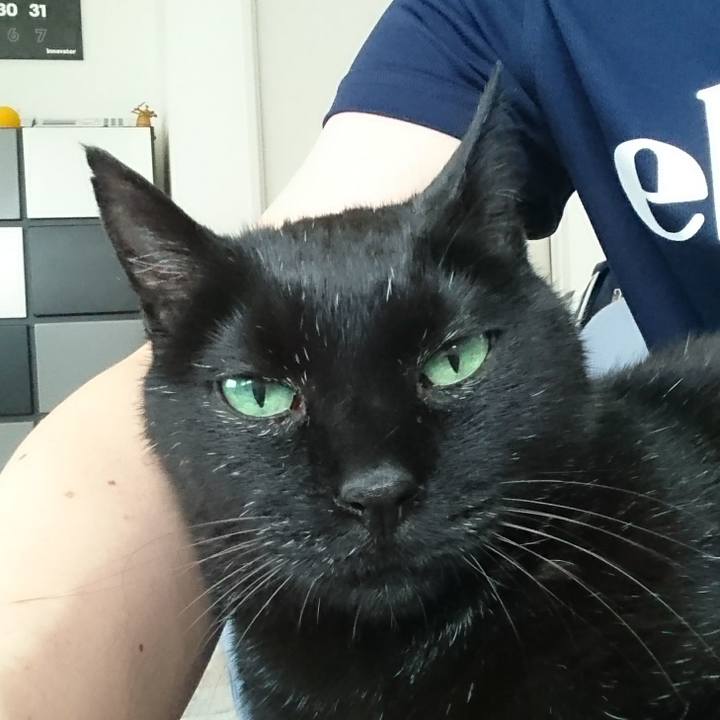 04715735 4dbc 43c3 95b0 c11af3708cf1 1558410378660