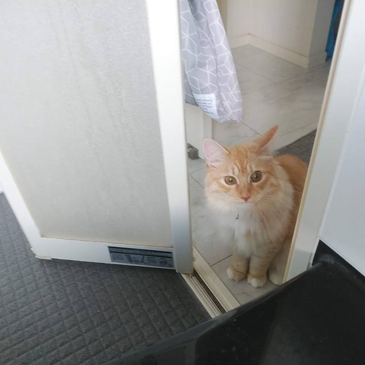 0471817e 5326 485f 91dc 85a5669664db 1627021235761