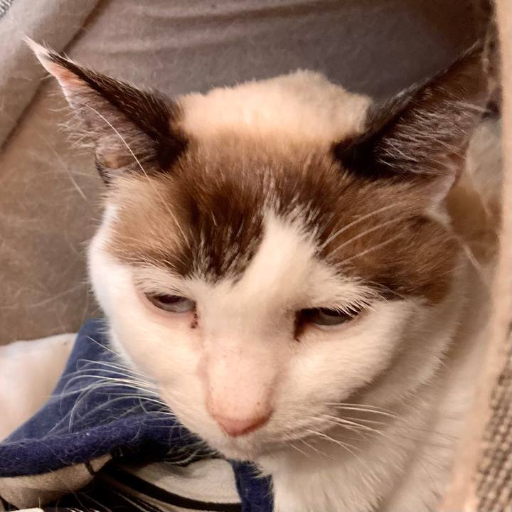 0471975f 41eb 49b5 b287 9bbd65fab08e 1675771939473