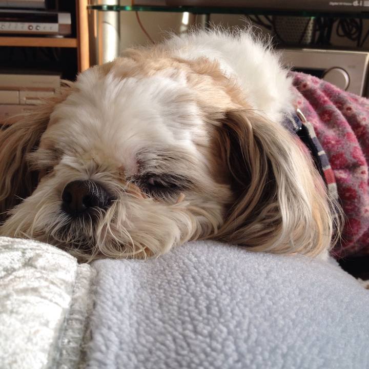 0471aa96 8436 4a62 a317 a032ae47a482 1513114995840